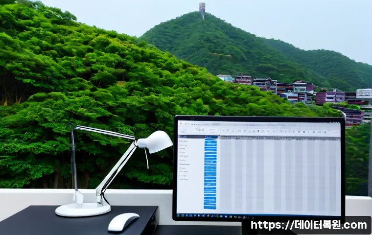 성북동 STATUS_KERNEL_HANDLE_INVALID 관련 이미지 4