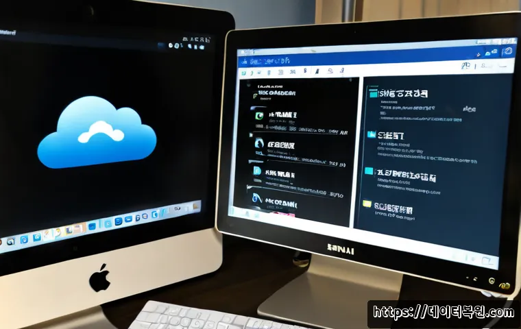 풍산동 STATUS_MODULE_ACCESS_DENIED 관련 이미지 4
