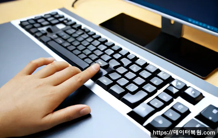 반포동 press f4 key 관련 이미지 1