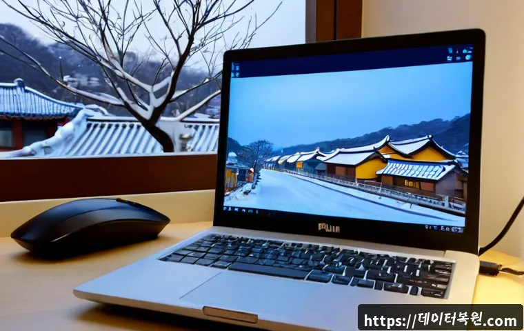 필운동 STATUS_KERNEL_MODE_EXCEPTION 관련 이미지 2
