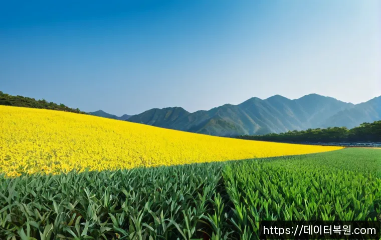 저동 본체 꺼졌다 켜졌다 할때 관련 이미지 5