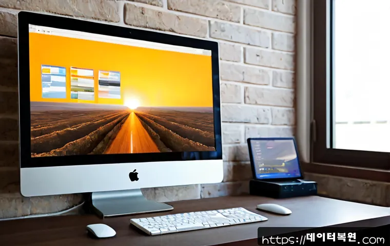 이화동 SOFTWARE_EXCEPTION 관련 이미지 4