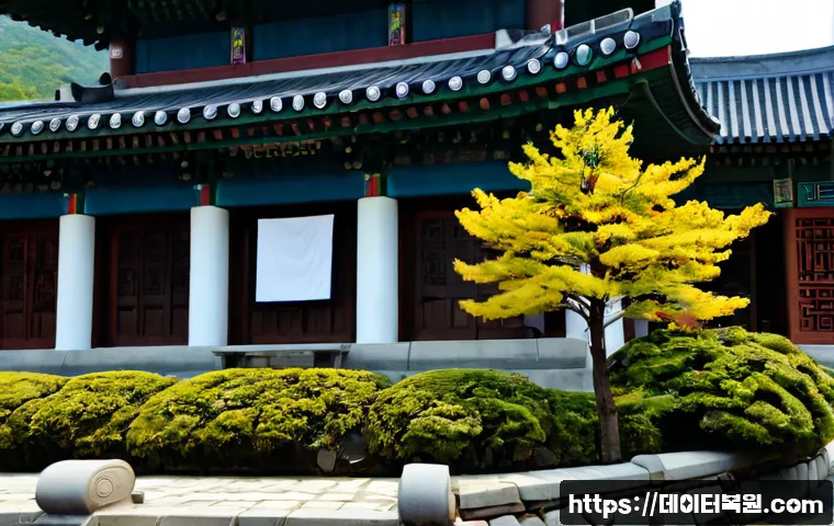 철산동 운영체제 os 재설치 포맷 초기화 관련 이미지 5