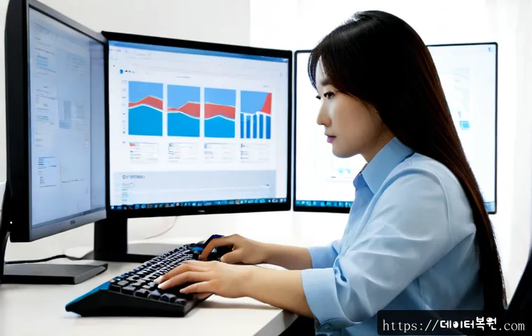 성석동 STATUS_STACK_BUFFER_OVERRUN 관련 이미지 2
