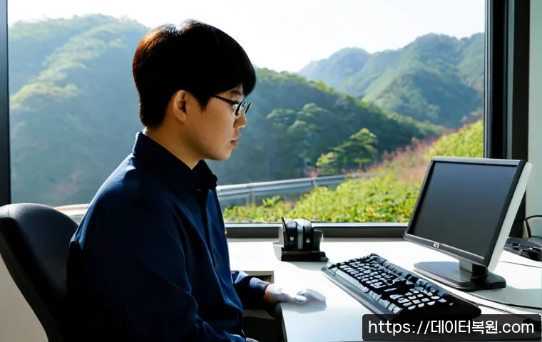 예장동 STATUS_INVALID_PARAMETER 관련 이미지 1