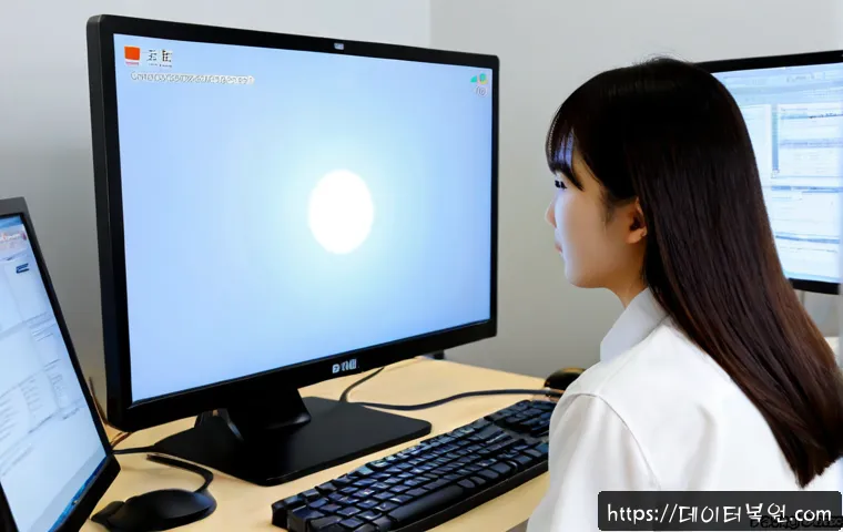 서원동 STATUS_MEMORY_VIOLATION 관련 이미지 2