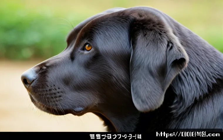 진관동 STATUS_KERNEL_MODULE_ACCESS_DENIED 관련 이미지 5