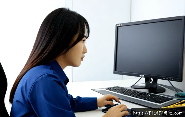 정발산동 KERNEL_DATA_INPAGE_ERROR 관련 이미지 2