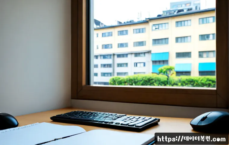 내유동 CRITICAL_PROCESS_DIED 관련 이미지 2