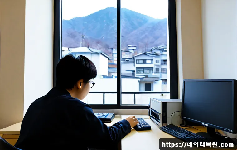 신림동 STATUS_PAGEFILE_MISSING 관련 이미지 4