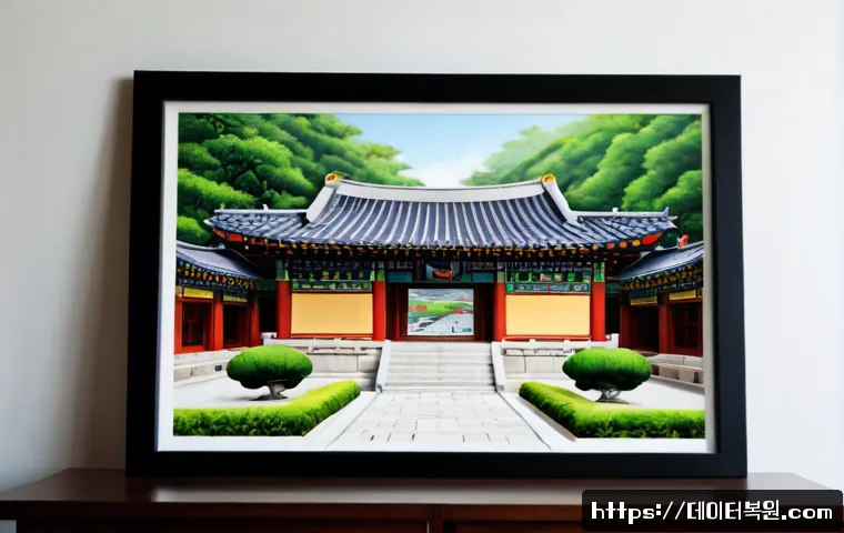 남종면 STATUS_MEMORY_OVERFLOW 관련 이미지 5