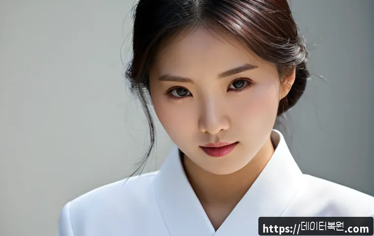 일산서구 STATUS_MEMORY_ACCESS_DENIED 관련 이미지 5