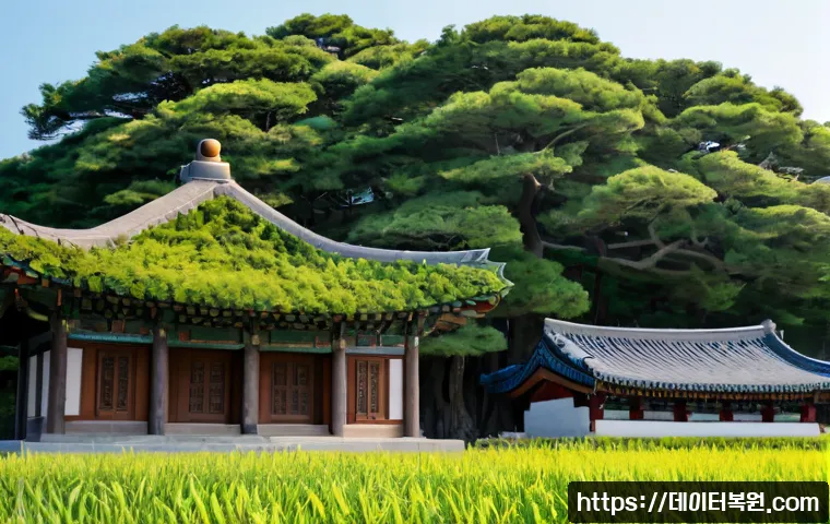 오륜동 부팅안됨 관련 이미지 5