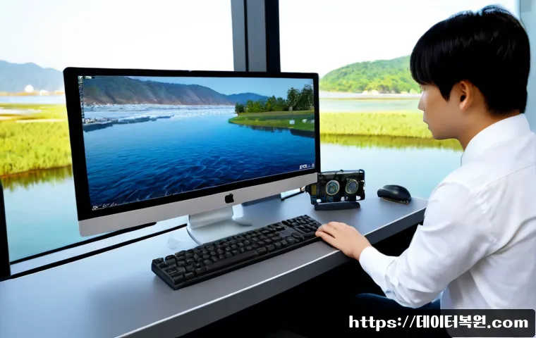고양시 STATUS_MEMORY_VIOLATION 관련 이미지 1