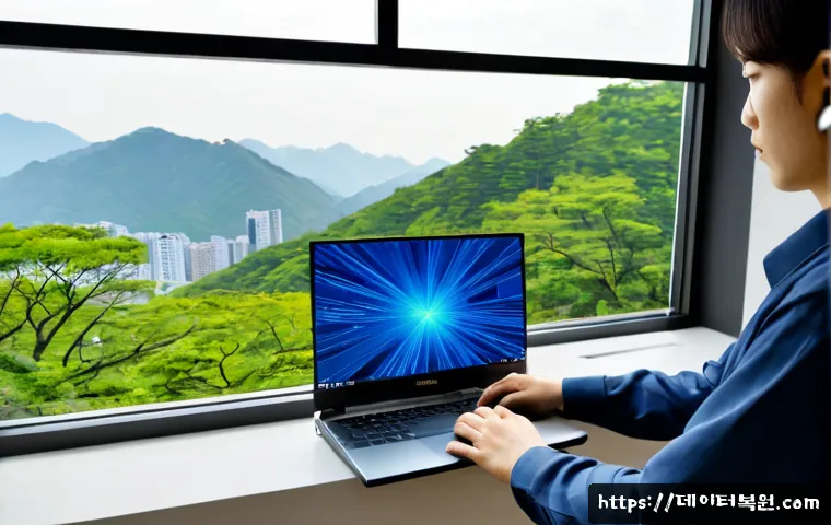 과천시 STATUS_KERNEL_STACK_CORRUPTION 관련 이미지 2
