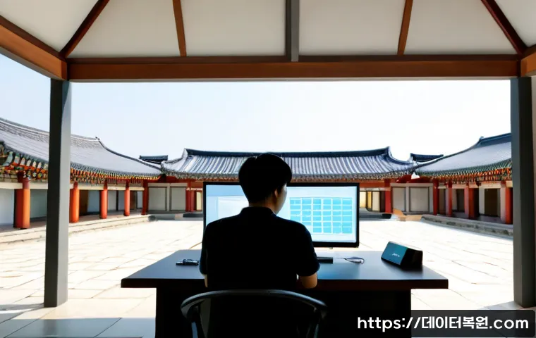권농동 STATUS_MEMORY_ACCESS_DENIED 관련 이미지 1