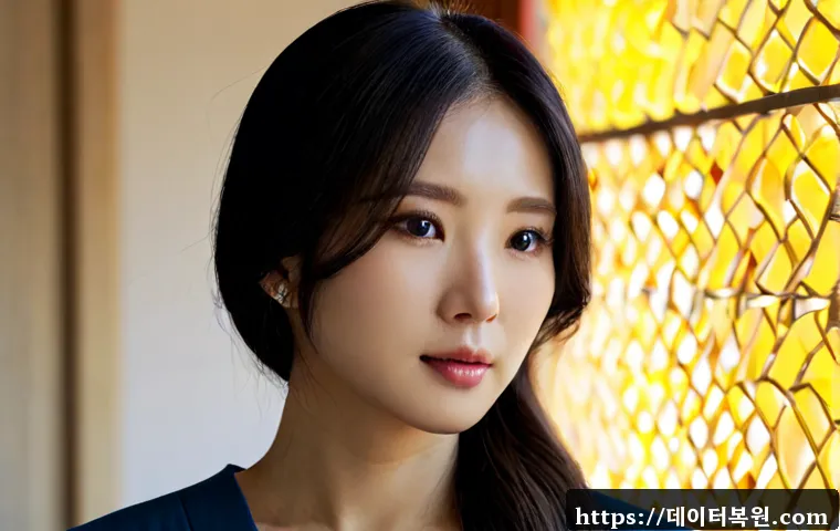수서동 STATUS_MEMORY_VIOLATION 관련 이미지 5