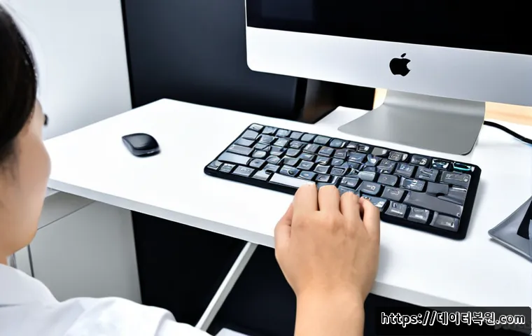 토당동 macosX재설치 포맷 초기화 관련 이미지 4