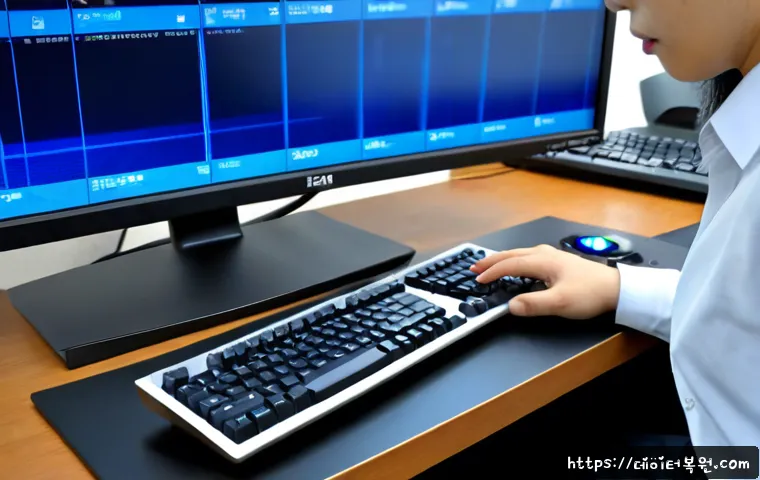 노량진 FAT32_FILE_SYSTEM 관련 이미지 2