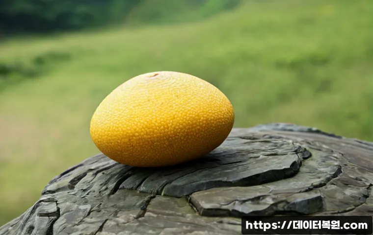 고덕동 공장초기화복구 관련 이미지 5