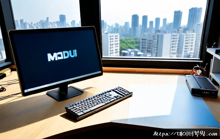 마두동 STATUS_INVALID_PARAMETER 관련 이미지 1