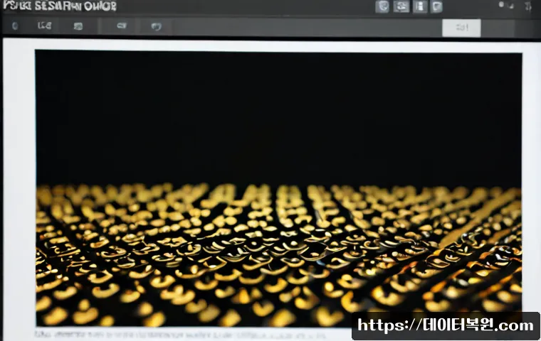장지동 STATUS_MEMORY_ACCESS_DENIED 관련 이미지 5