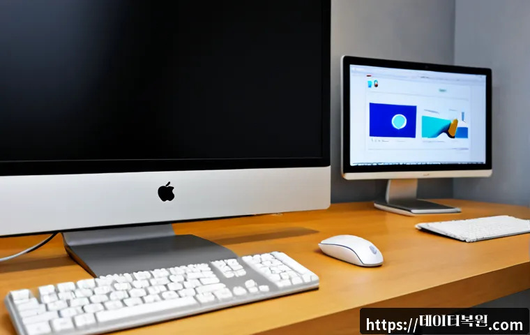 도림동 운영체제 os 재설치 포맷 초기화 관련 이미지 1