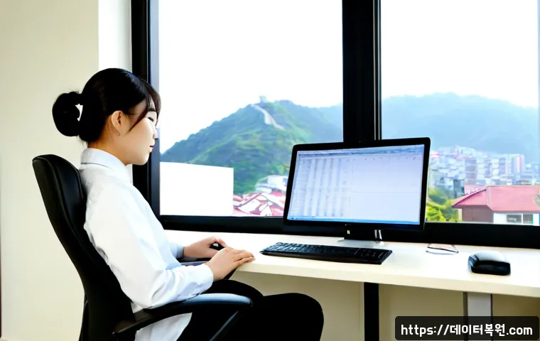 미아동 STATUS_MEMORY_ACCESS_DENIED 관련 이미지 3