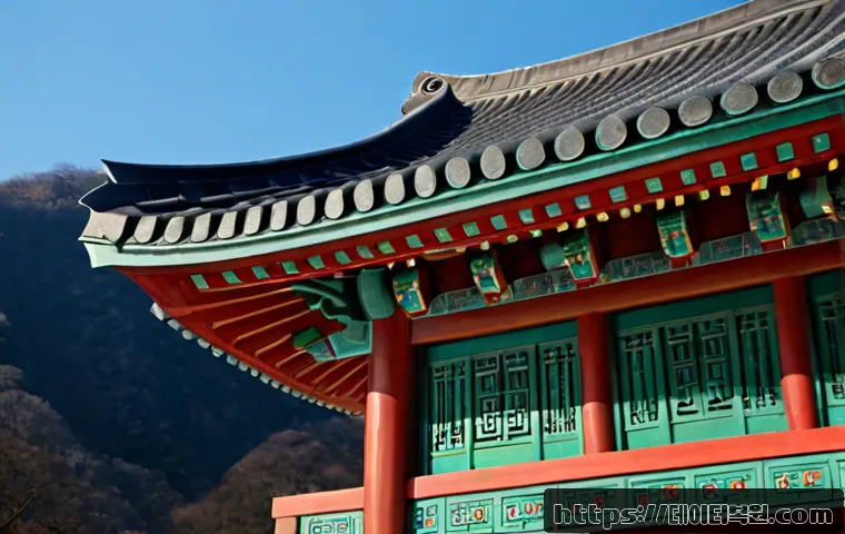 경기광주 MEMORY_MANAGEMENT 관련 이미지 5